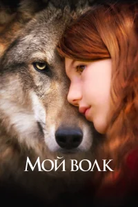 Мой волк Мой волк