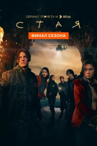 Стая Стая