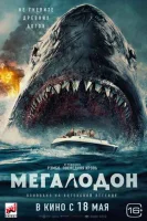 Мегалодон Мегалодон