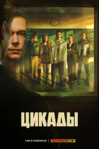 Цикады Цикады